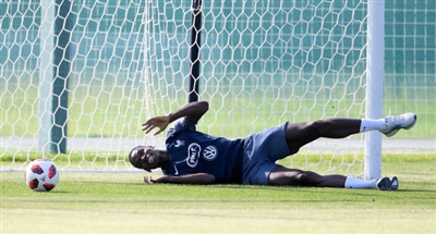 Paul Pogba Poster 3463164