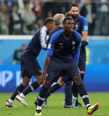 Paul Pogba Poster 3463187
