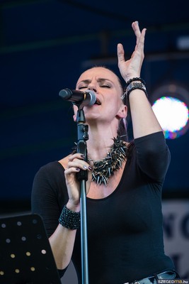 Peter Szabo Szilvia Poster 3066389