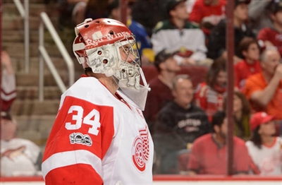 Petr Mrazek Poster 3567703