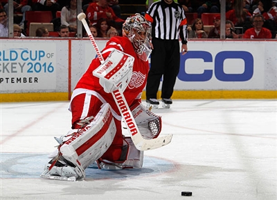 Petr Mrazek Poster 3567708
