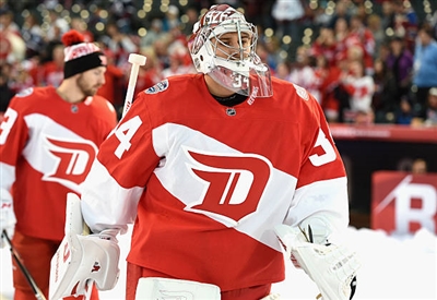 Petr Mrazek Poster 3567723