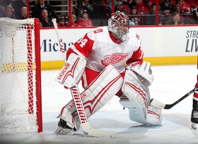 Petr Mrazek Poster 3567724