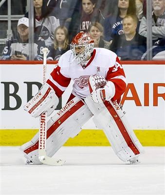 Petr Mrazek Poster 3567726