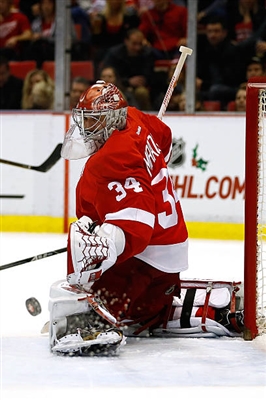 Petr Mrazek Poster 3567727