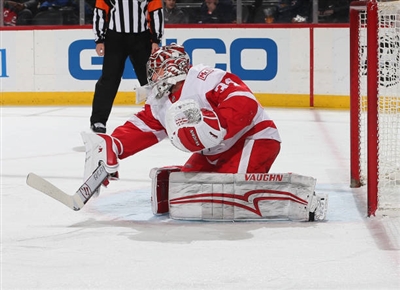 Petr Mrazek Poster 3567729