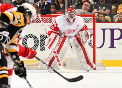 Petr Mrazek Poster 3567734