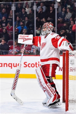 Petr Mrazek Poster 3567738
