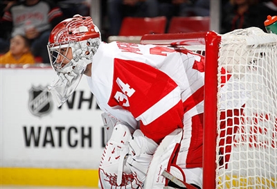 Petr Mrazek Poster 3567741