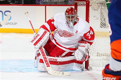 Petr Mrazek Poster 3567743