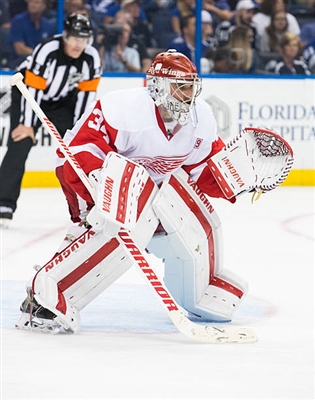 Petr Mrazek Poster 3567749