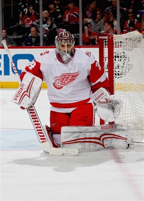 Petr Mrazek Poster 3567753