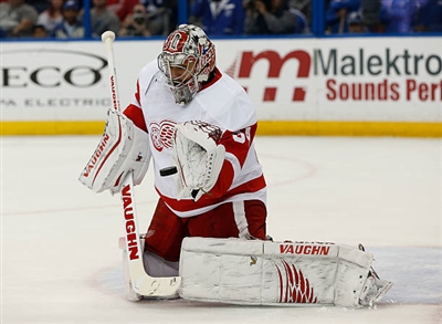 Petr Mrazek Poster 3567754