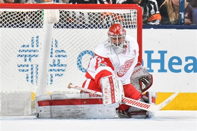 Petr Mrazek Poster 3567755