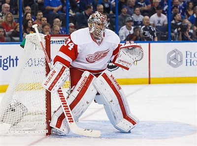 Petr Mrazek Poster 3567756