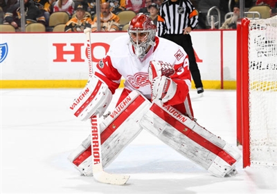 Petr Mrazek Poster 3567757