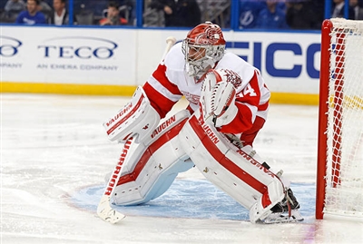 Petr Mrazek Poster 3567758