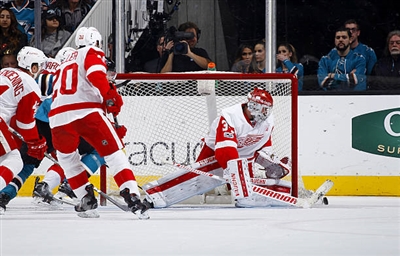 Petr Mrazek Poster 3567759