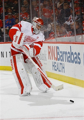 Petr Mrazek Poster 3567762