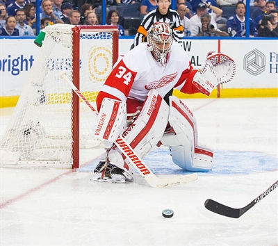 Petr Mrazek Poster 3567763