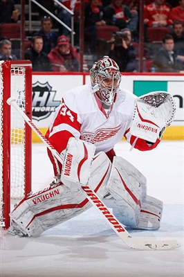 Petr Mrazek Poster 3567766