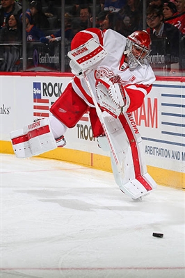 Petr Mrazek Poster 3567767
