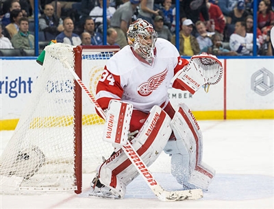 Petr Mrazek Poster 3567768
