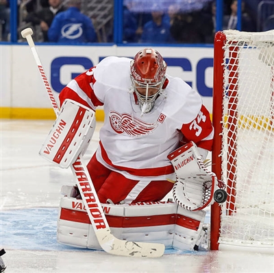 Petr Mrazek Poster 3567772