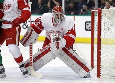 Petr Mrazek Poster 3567773