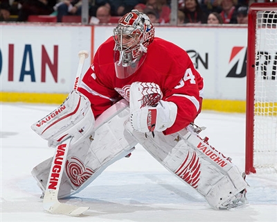 Petr Mrazek Poster 3567774