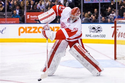 Petr Mrazek Poster 3567783