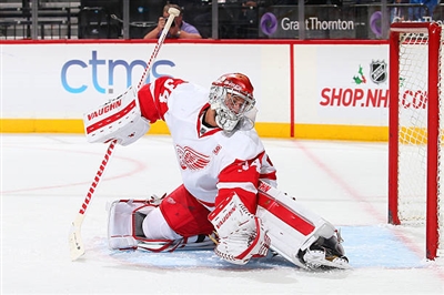 Petr Mrazek Poster 3567792