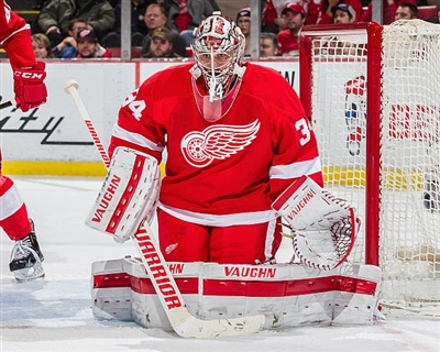 Petr Mrazek Poster 3567793
