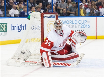 Petr Mrazek Poster 3567797