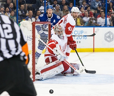 Petr Mrazek Poster 3567804