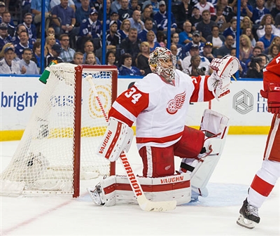 Petr Mrazek Poster 3567806