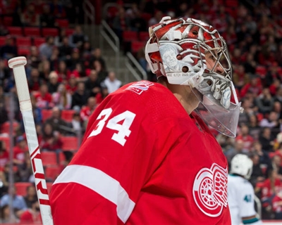 Petr Mrazek Poster 3567807