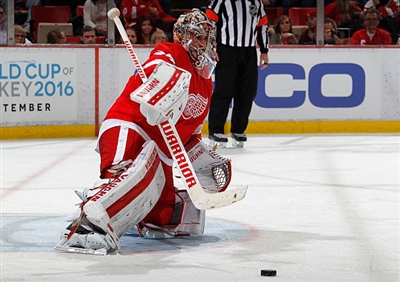 Petr Mrazek Poster 3567811