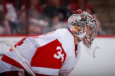 Petr Mrazek Poster 3567818