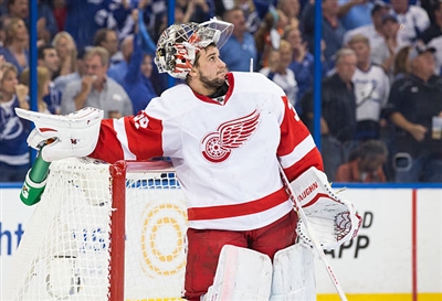 Petr Mrazek Poster 3567820