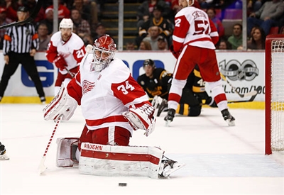 Petr Mrazek Poster 3567830