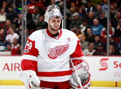 Petr Mrazek Poster 3567835