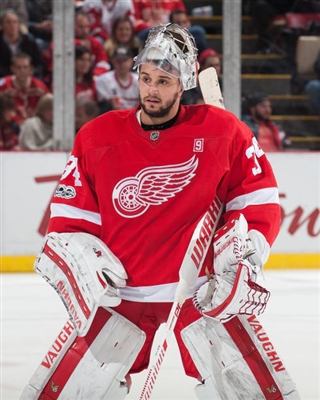 Petr Mrazek Poster 3567848
