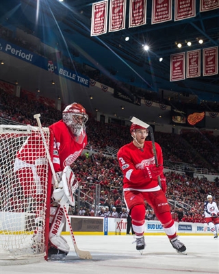 Petr Mrazek Poster 3567854