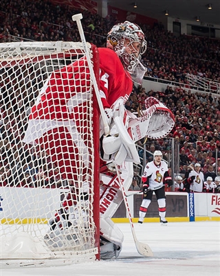 Petr Mrazek Poster 3567855
