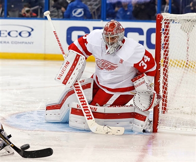 Petr Mrazek Poster 3567856