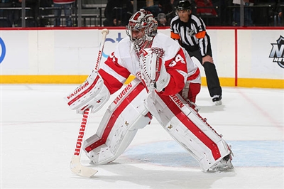 Petr Mrazek Poster 3567859