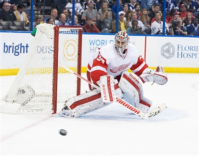 Petr Mrazek Poster 3567863
