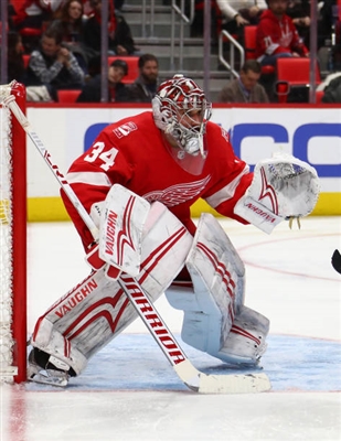 Petr Mrazek Poster 3567864