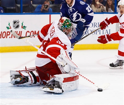 Petr Mrazek Poster 3567865